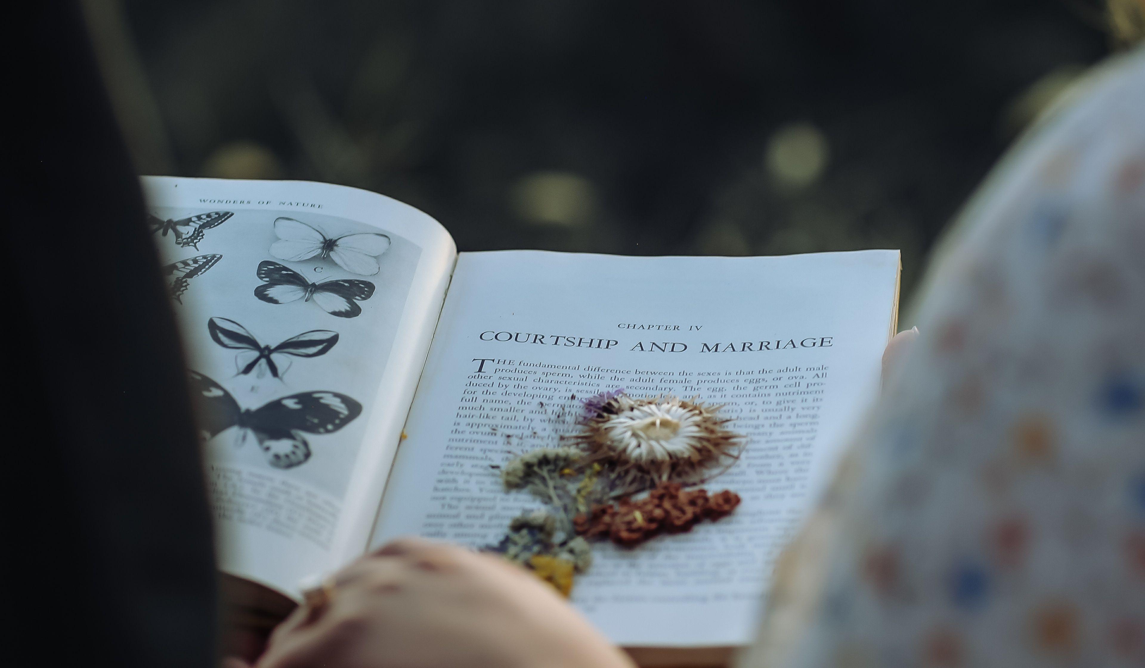 Hero Slideshow Image 4