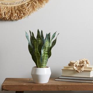 Snake Green Faux Foliage Indoor Outdoor Artificial Plant with Pot