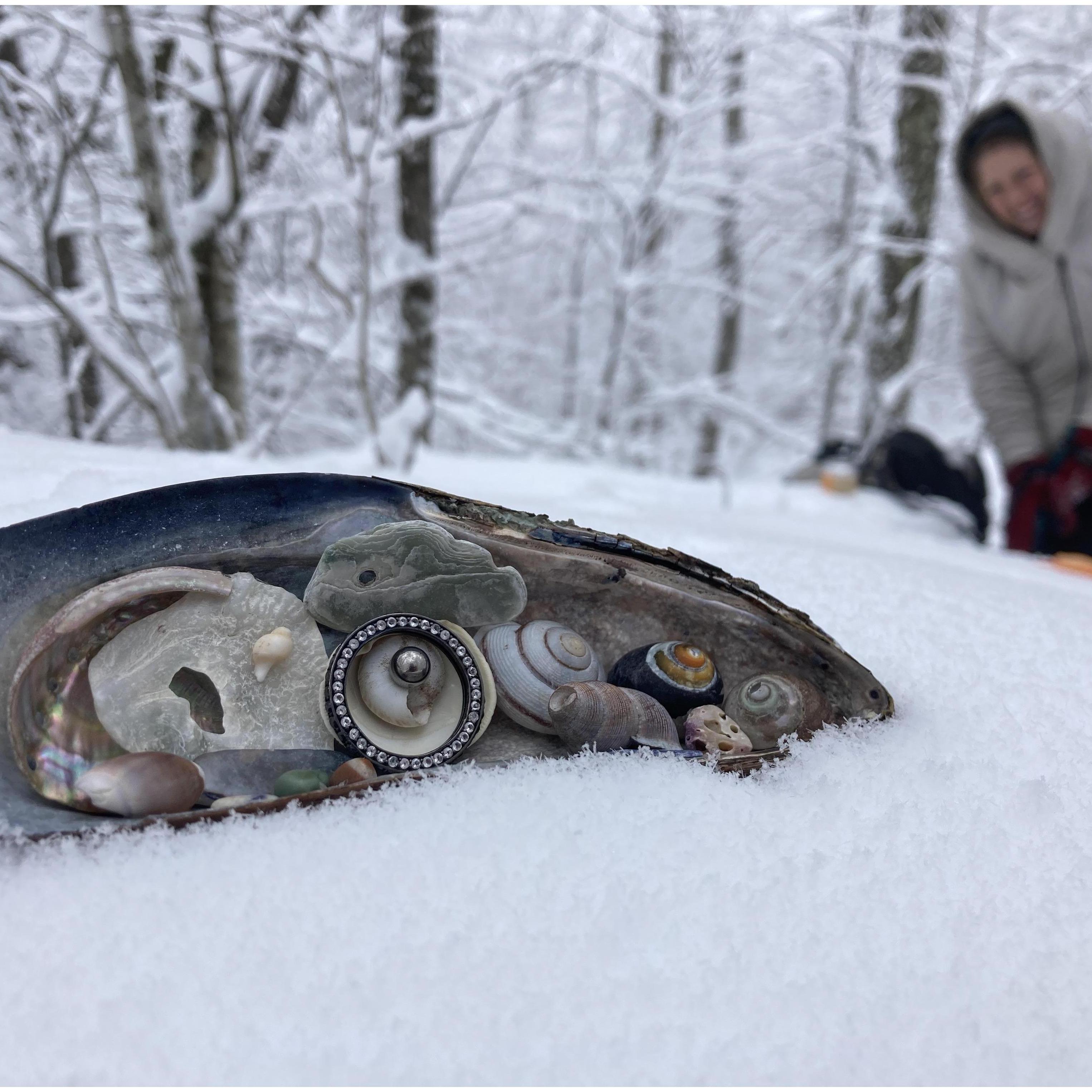 We celebrated our engagement by walking in a winter wonderland! The ring is a channel setting of Herkimer Diamond, accented by black spinel, and was presented on Shell Beach diorama.