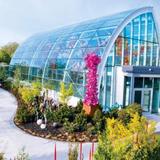 Chihuly Garden and Glass