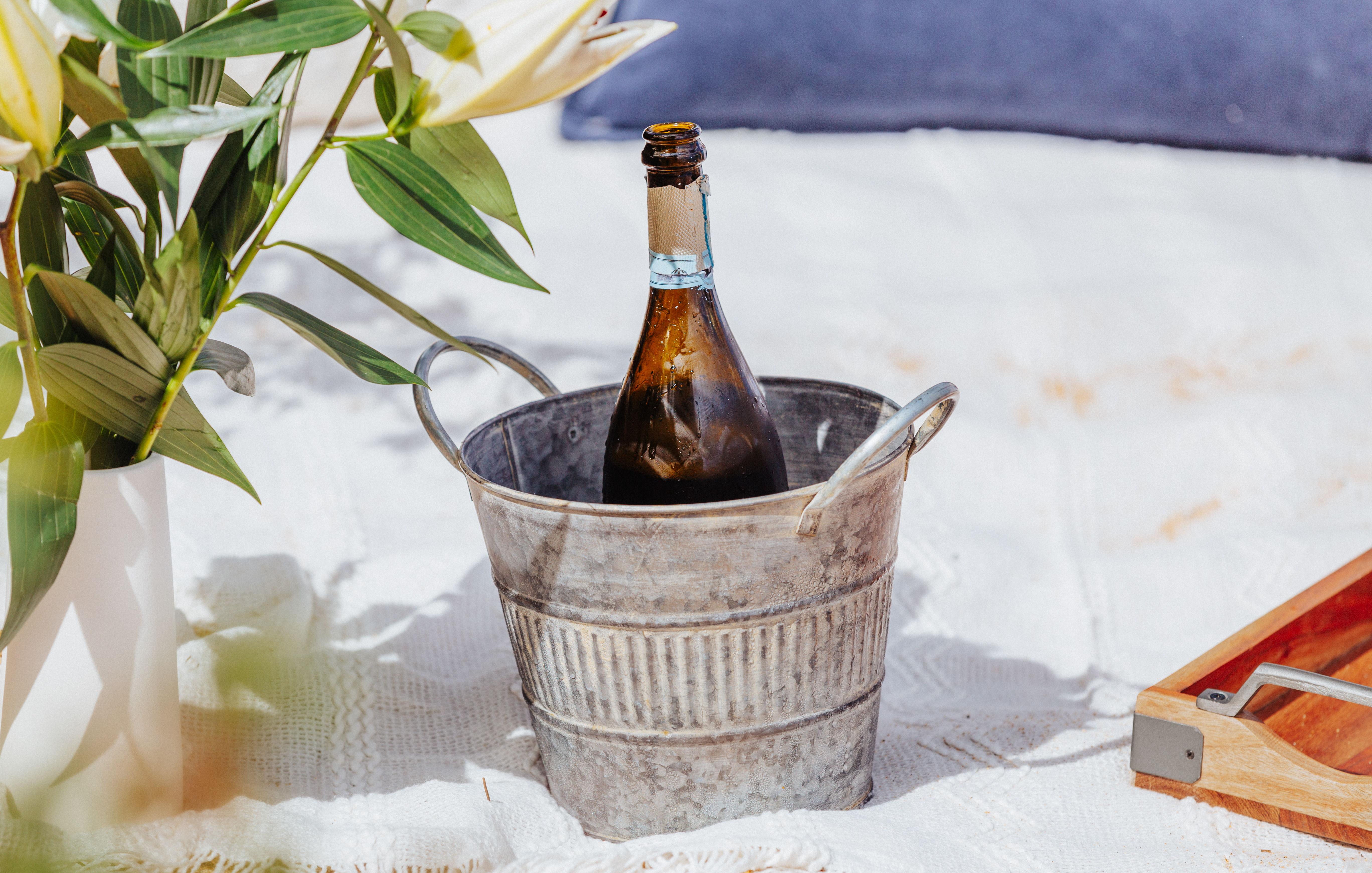 The Wedding Website of Morgan Swanson and William Beatty