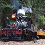 Roaring Camp Railroads