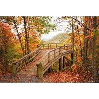Ceremony Site - Chestnut Ridge Overlook