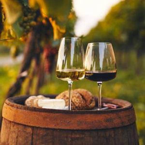 Winery Tour