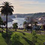 Jardim do Morro