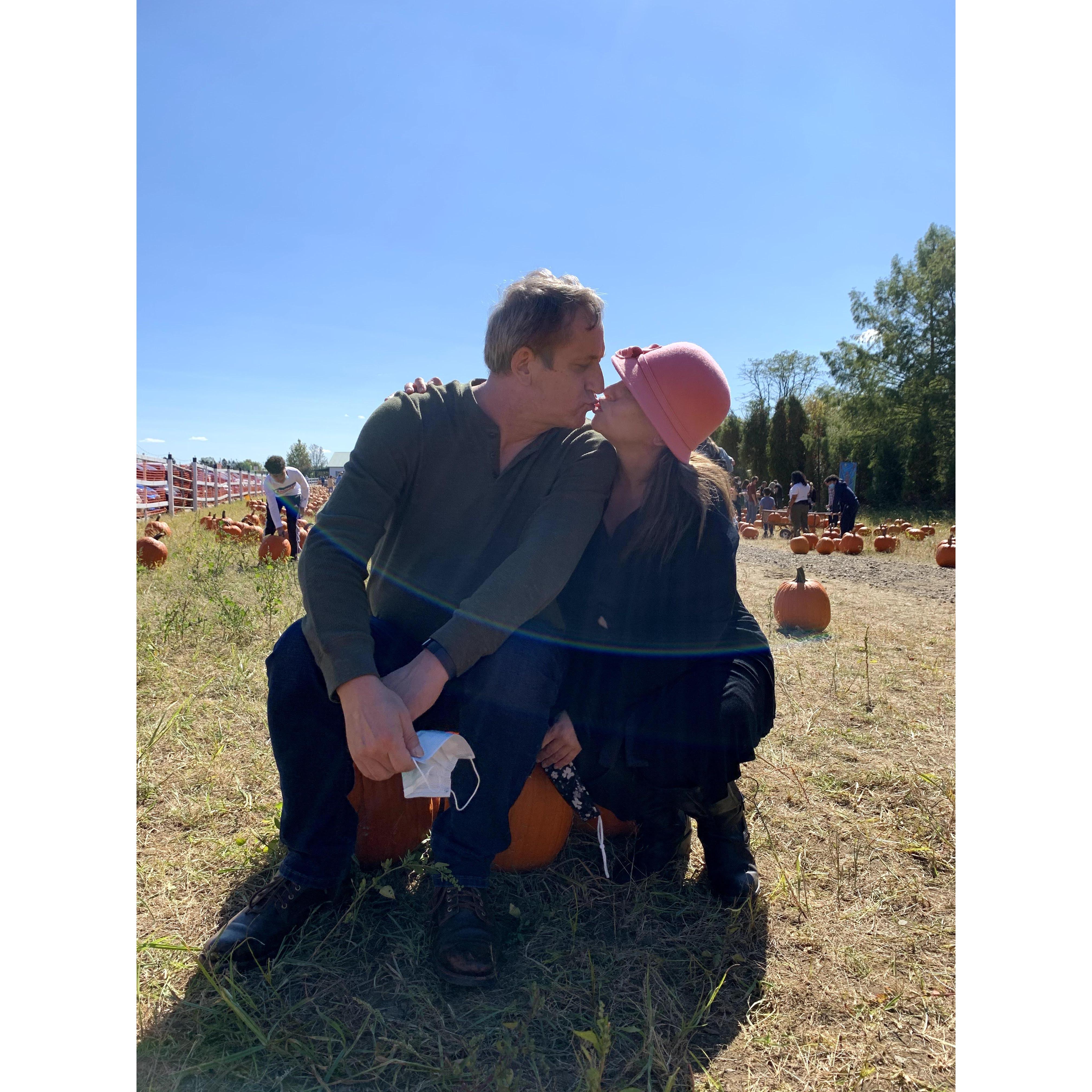 Pumpkin picking