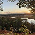 Greenport Conservation Area