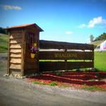 Whalebone Vineyard