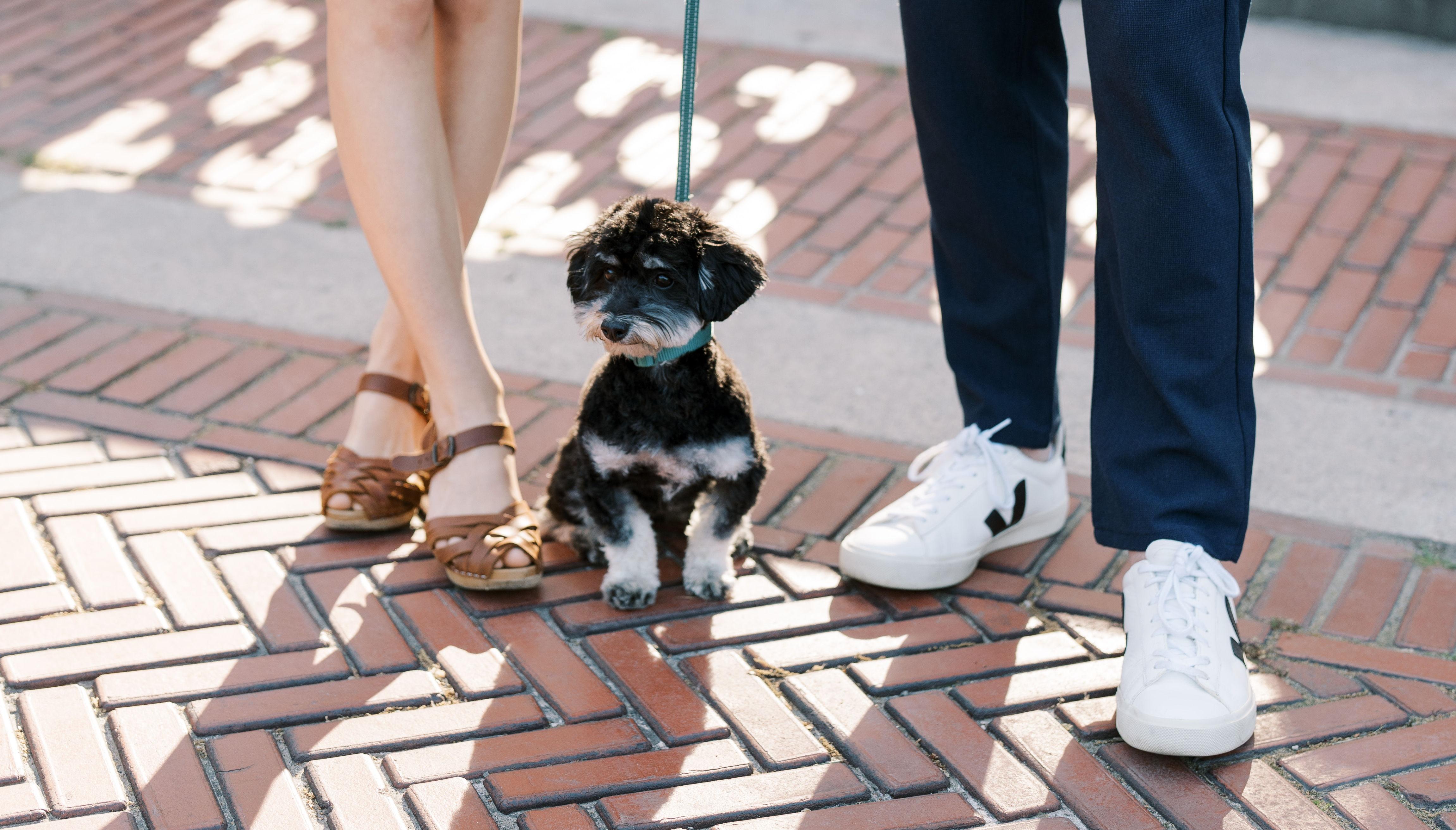 The Wedding Website of Natalie Biebel and Connor Deane