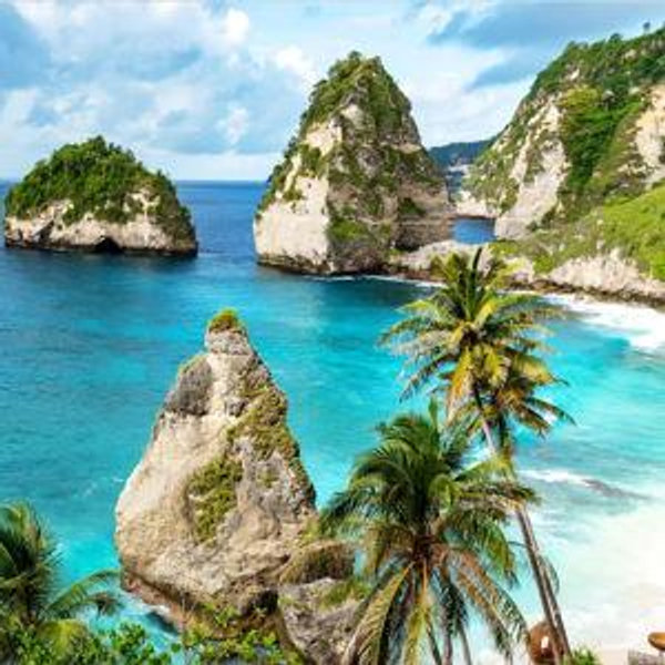 Our Bali/Singapore/Japan Honeymoon Fund