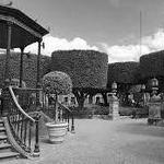 Jardín Allende