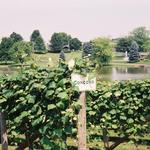 Huber's Orchard and Winery