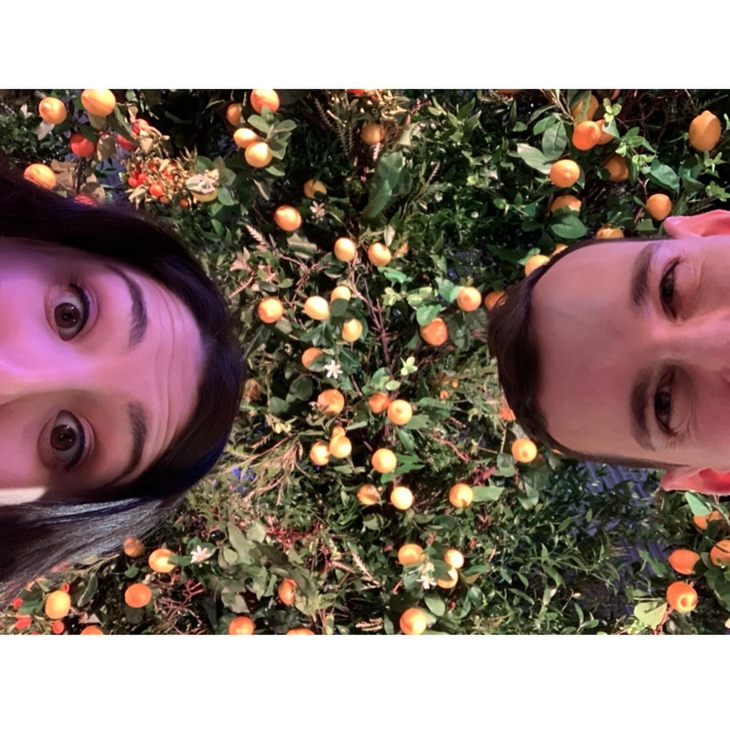 6th month Anniversary at the Philadelphia Flower Show 🌼🍋
