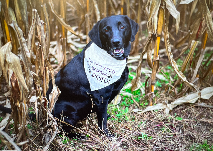 The Wedding Website of Gina Sommerfeld and Riley Marquardt