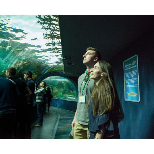 Toronto Aquarium - Toronto, Canada 2018
