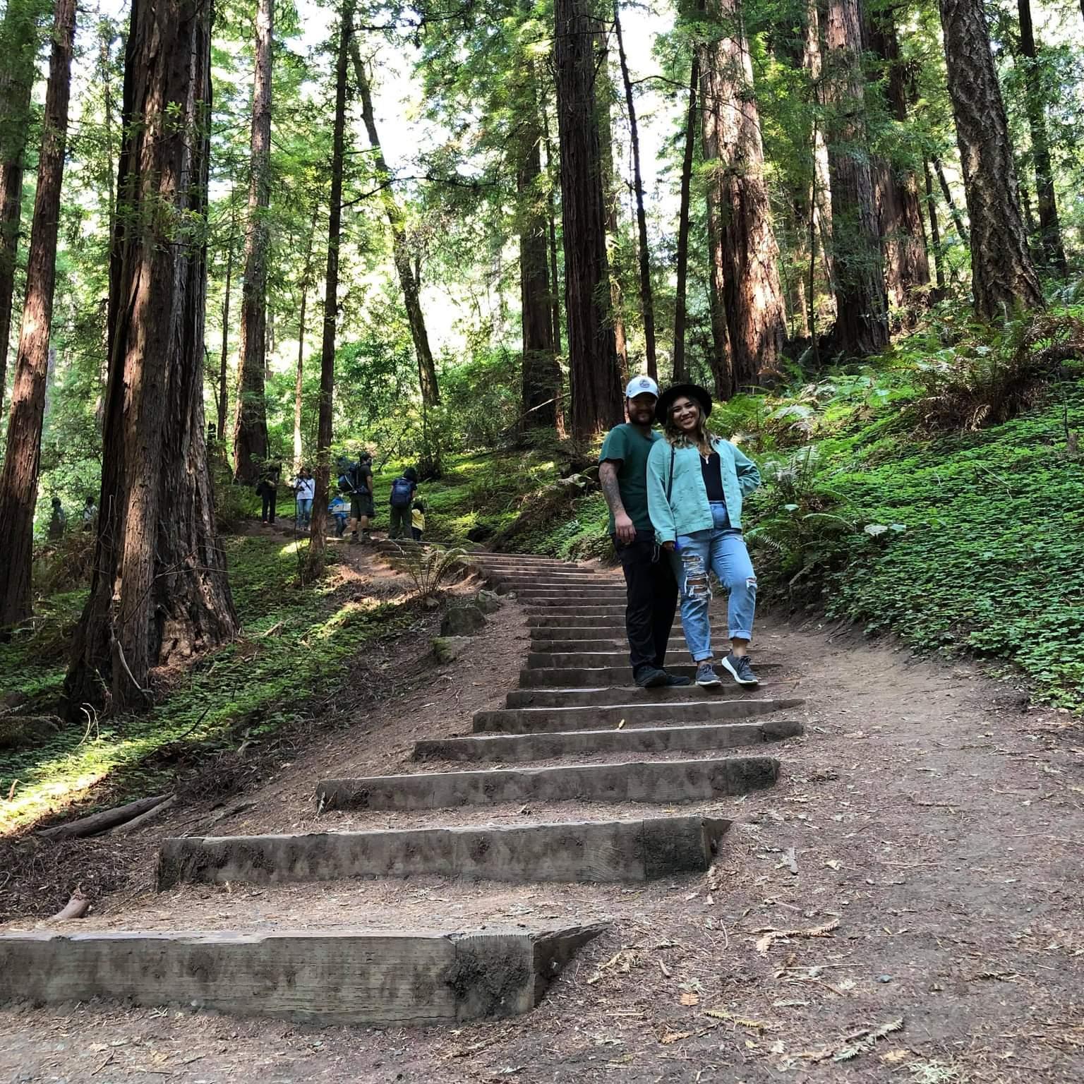 Muir Woods near San Francisco.