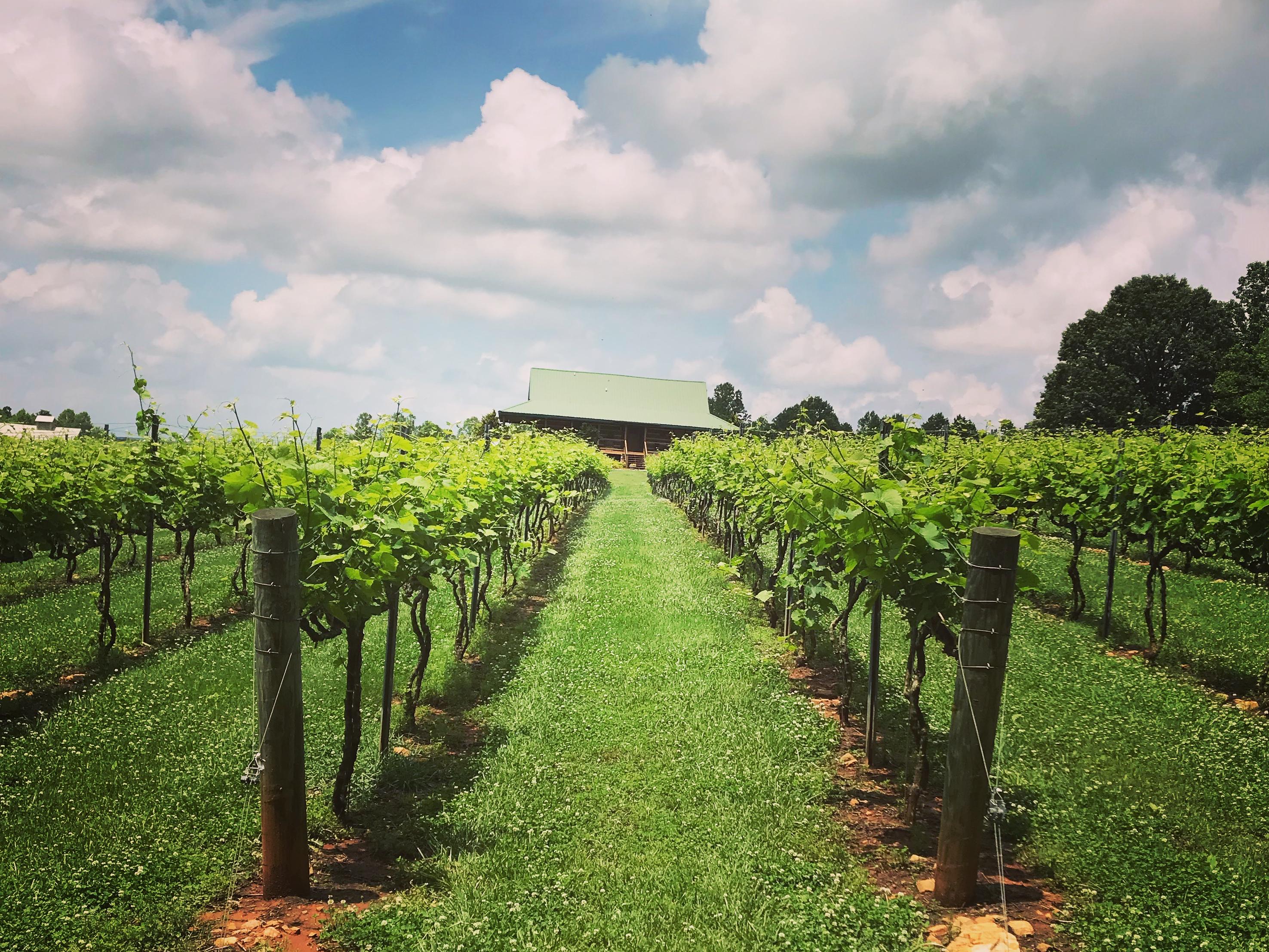 The Wedding Website of Brian Jerger and Sarah Evans