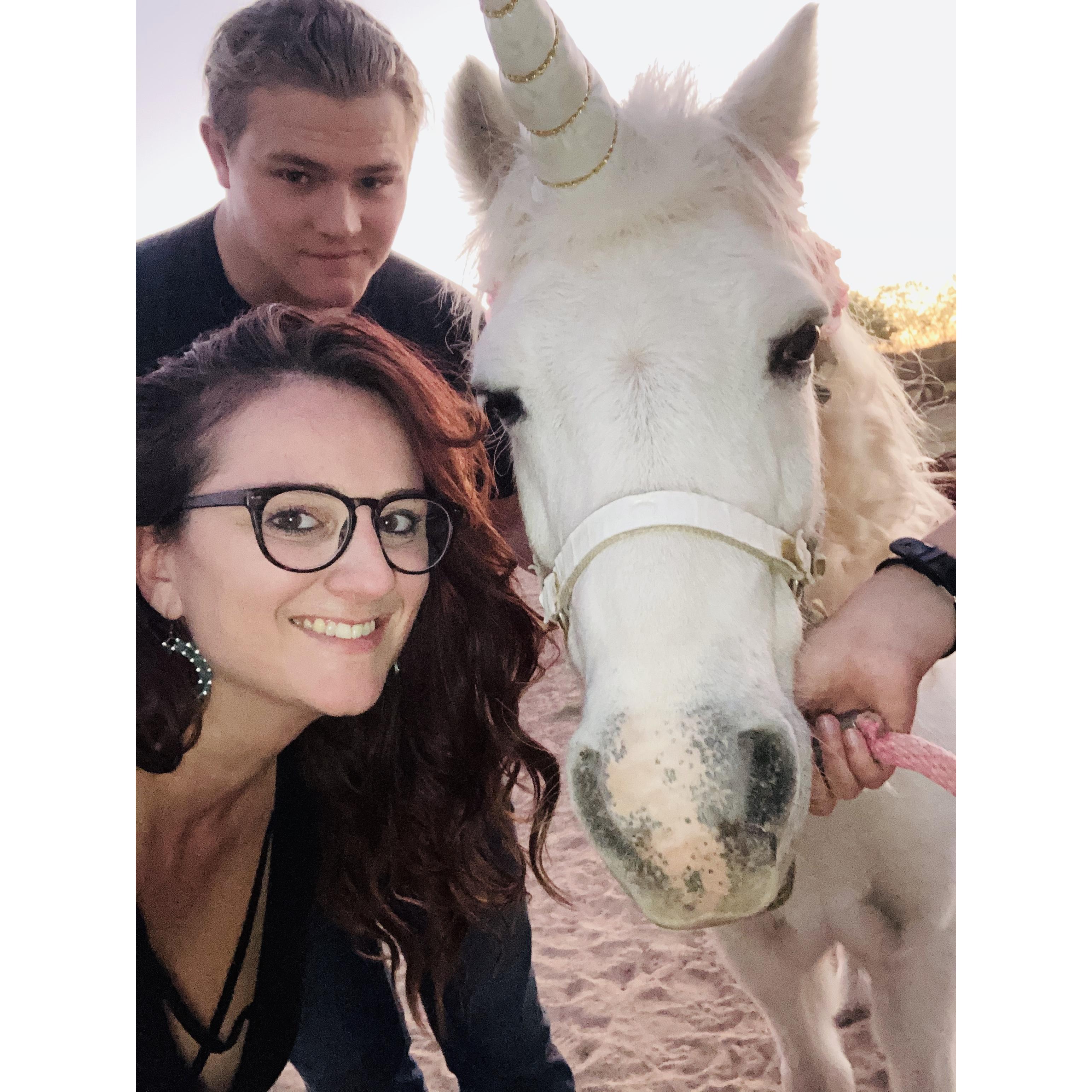 Unicorn time