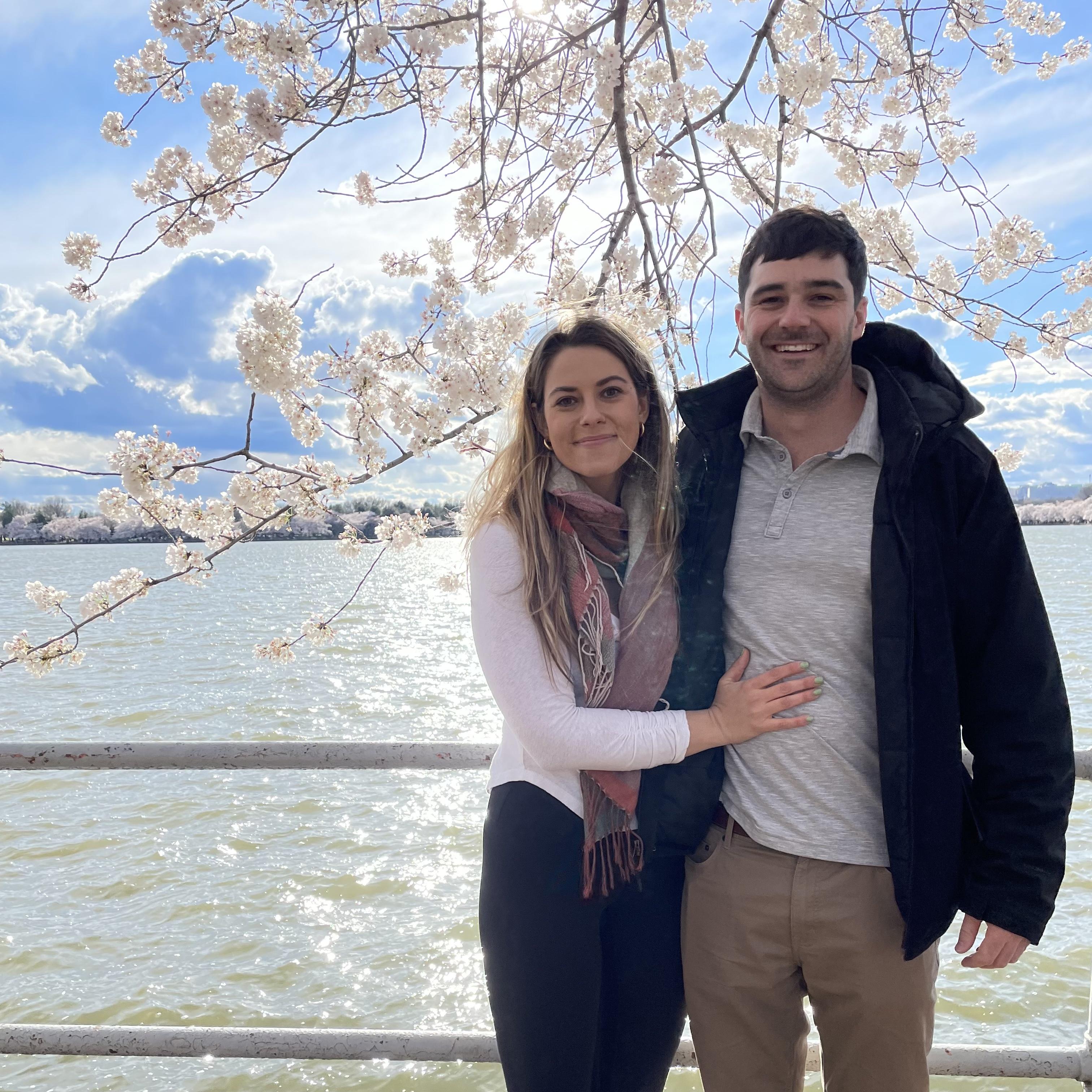 Cherry Blossoms in DC