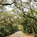 Anastasia State Park