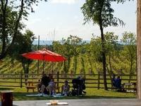The Winery at Bull Run