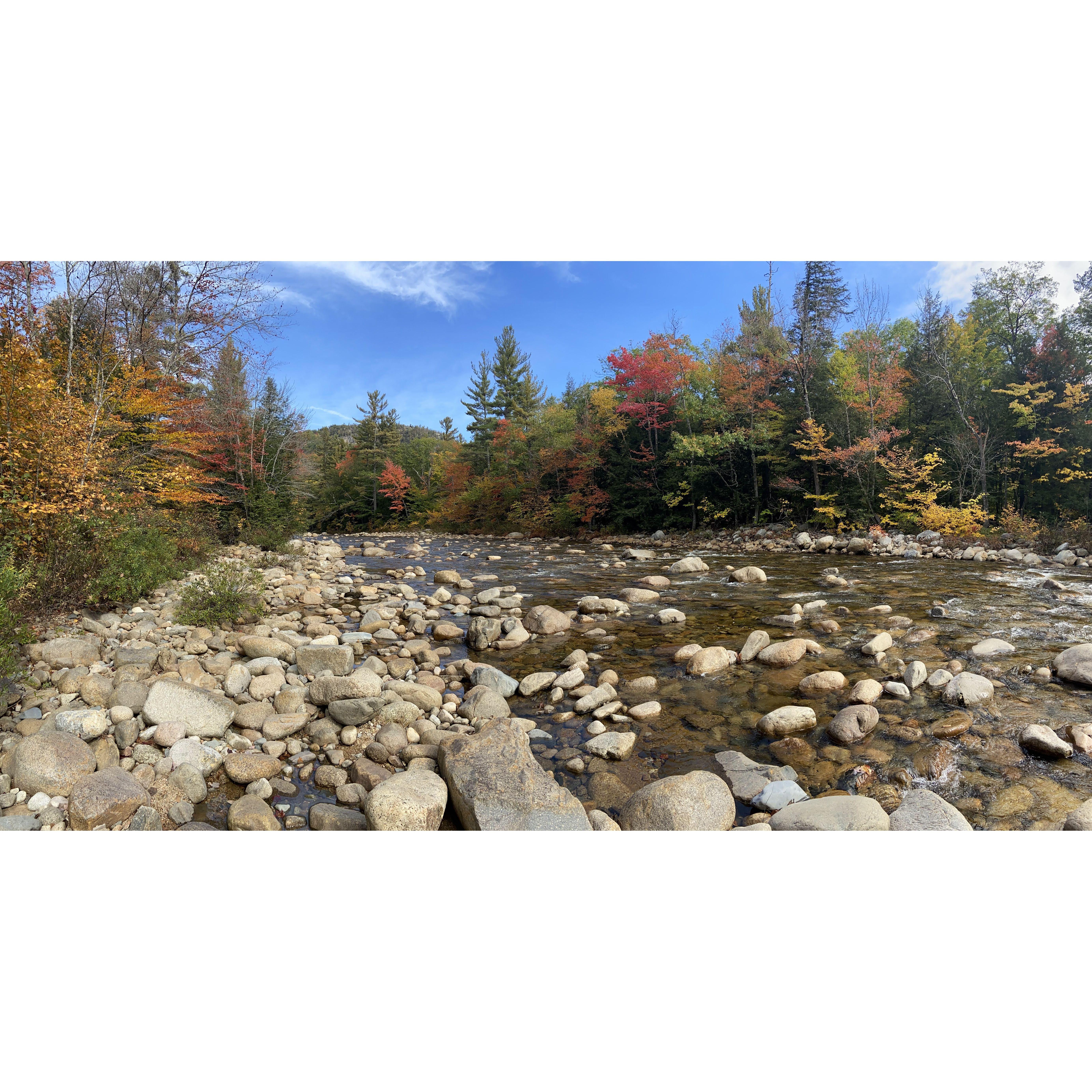 Some of what you can expect to see this time of year