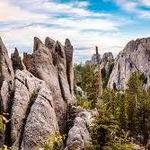 Custer State Park