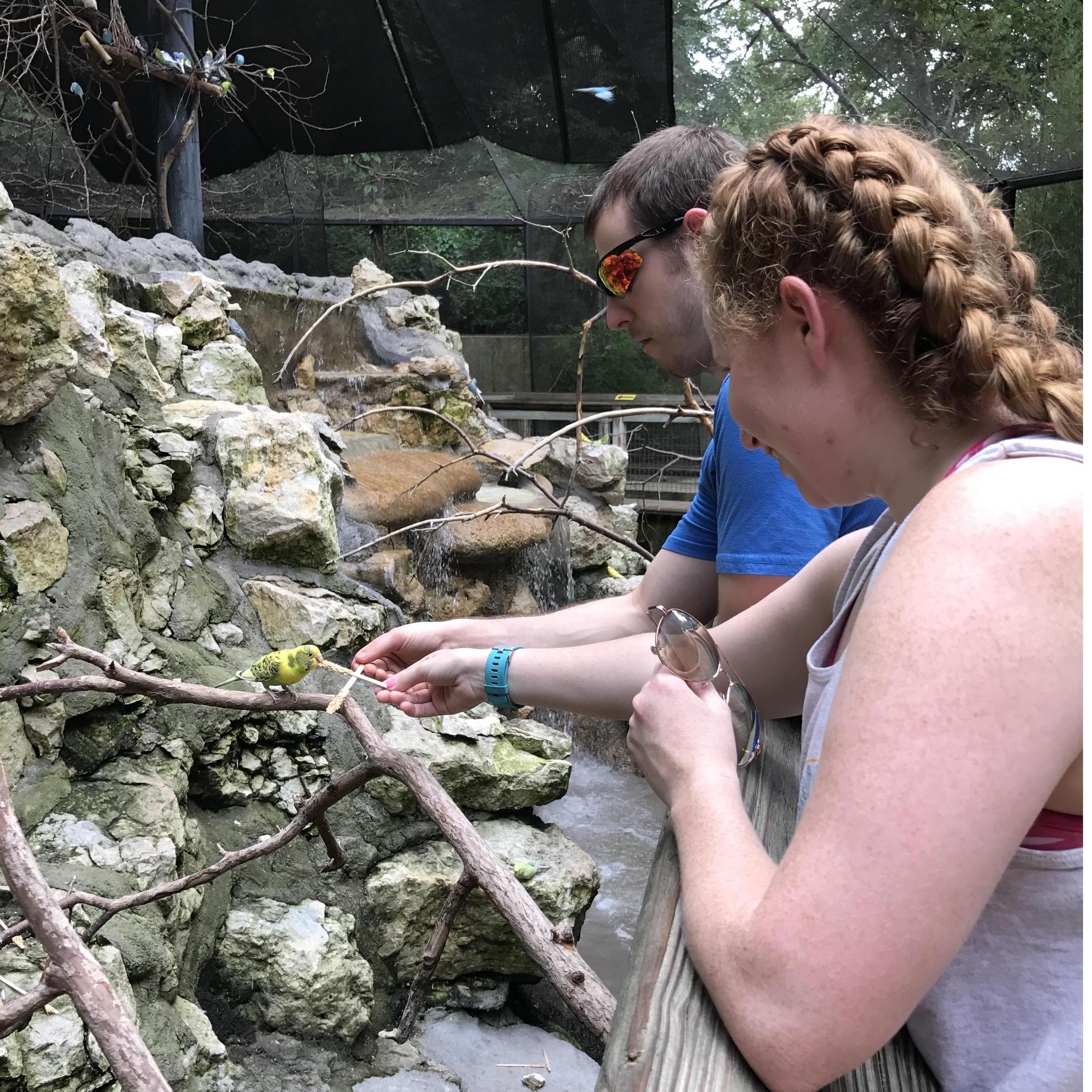 One of my favorite places to go is the zoo. Here, we are feeding birds at the Fort Worth Zoo.