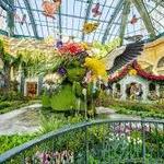 Bellagio Conservatory & Botanical Gardens