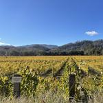 Napa