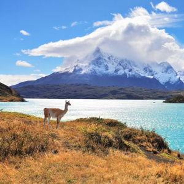Honeymoon Fund to Chile & Argentina