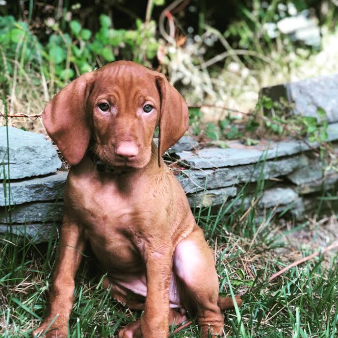 Our Nora Girl