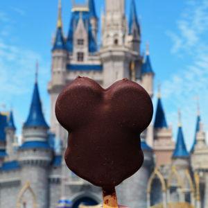 Theme Park Snacks