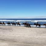 Twin Creeks Beach and Trail Rides