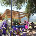 Questa Farmers Market