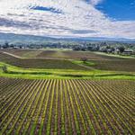 Livermore