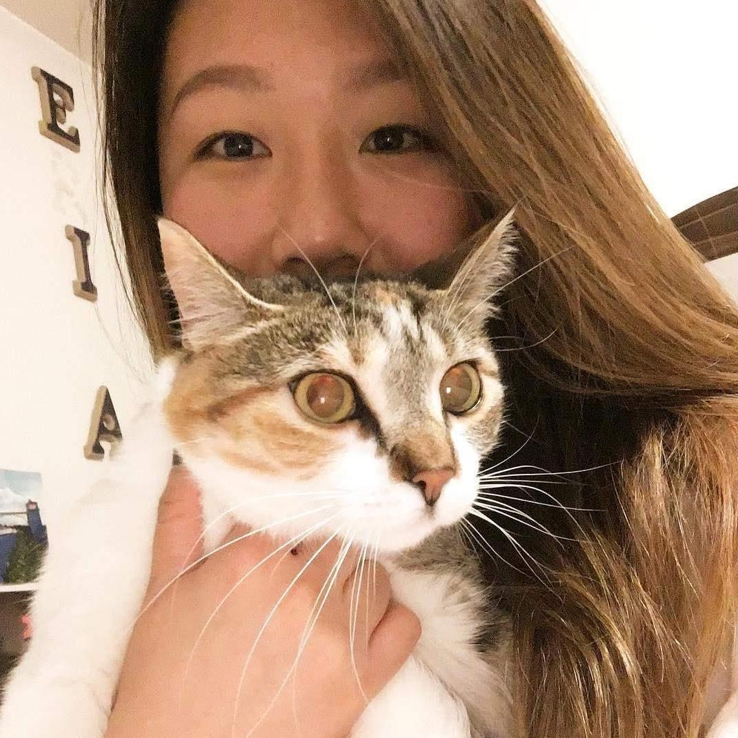 The One where Nala is the princess