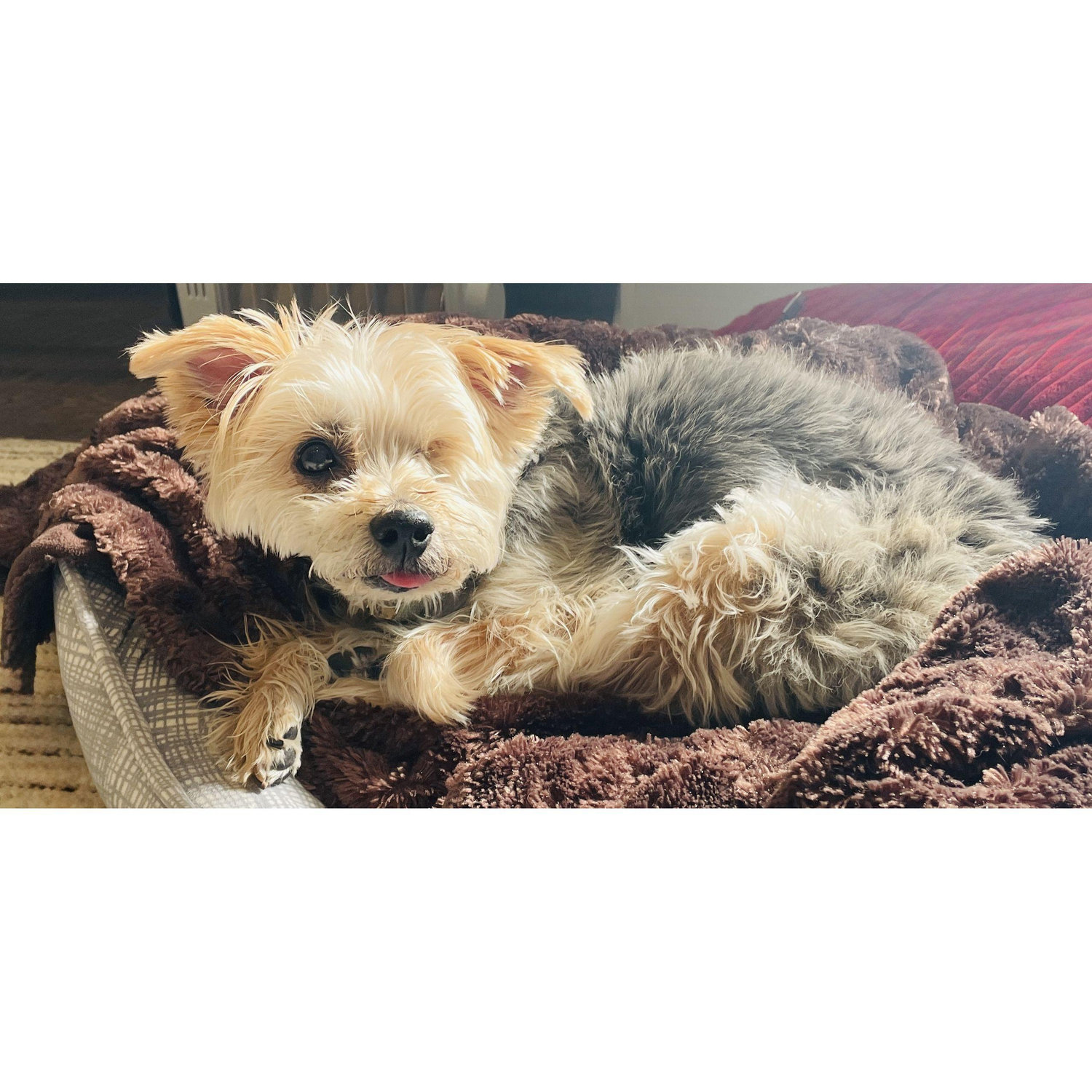 A recent pic of Ellie in all her glory, with a slight tongue tease.