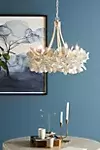 Magnolia Chandelier