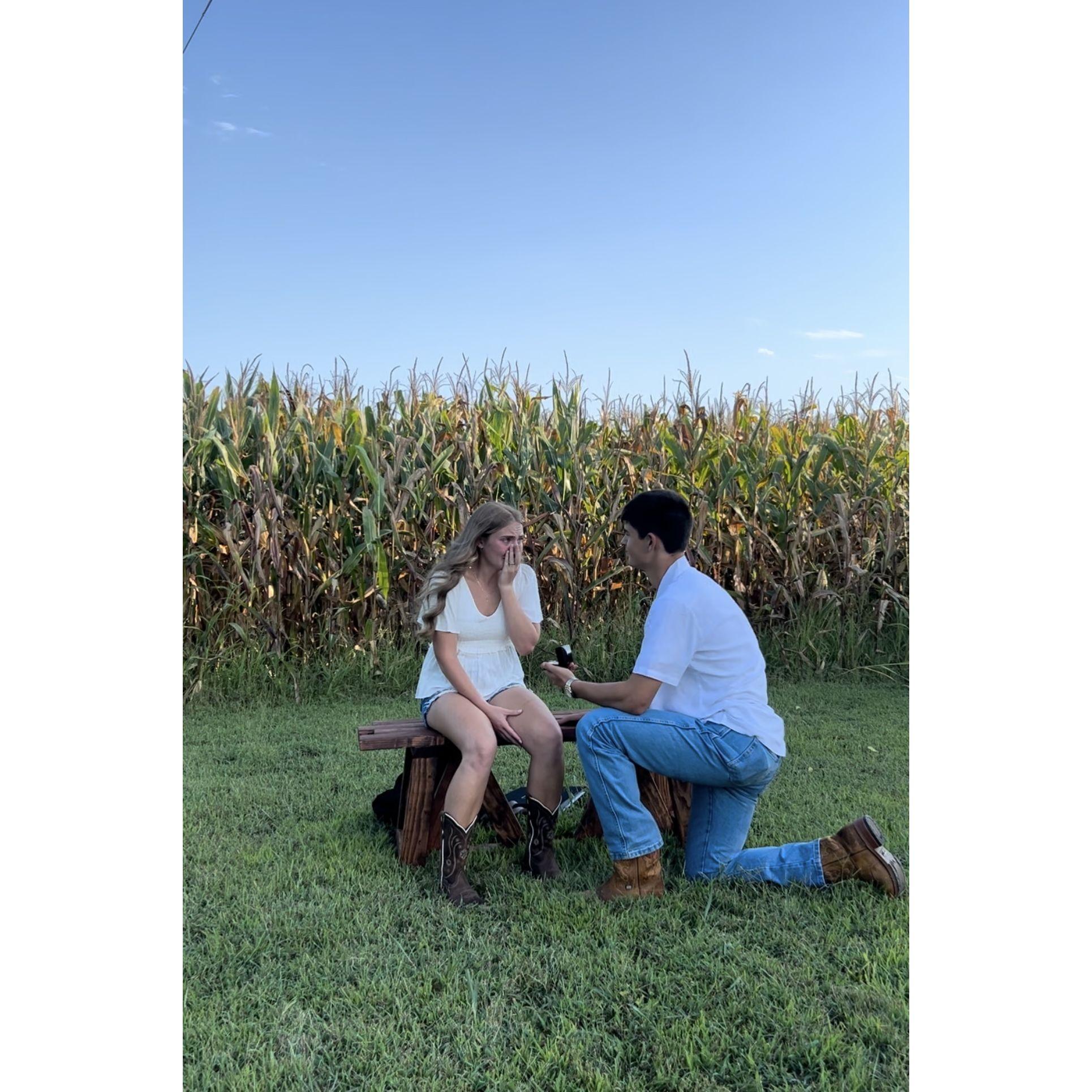 The Proposal! 2024