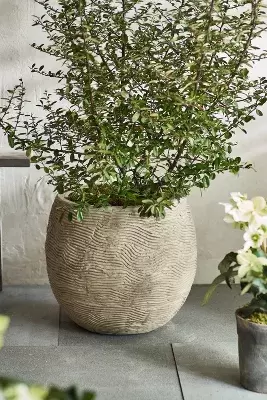 Wavy Concrete Orb Planter