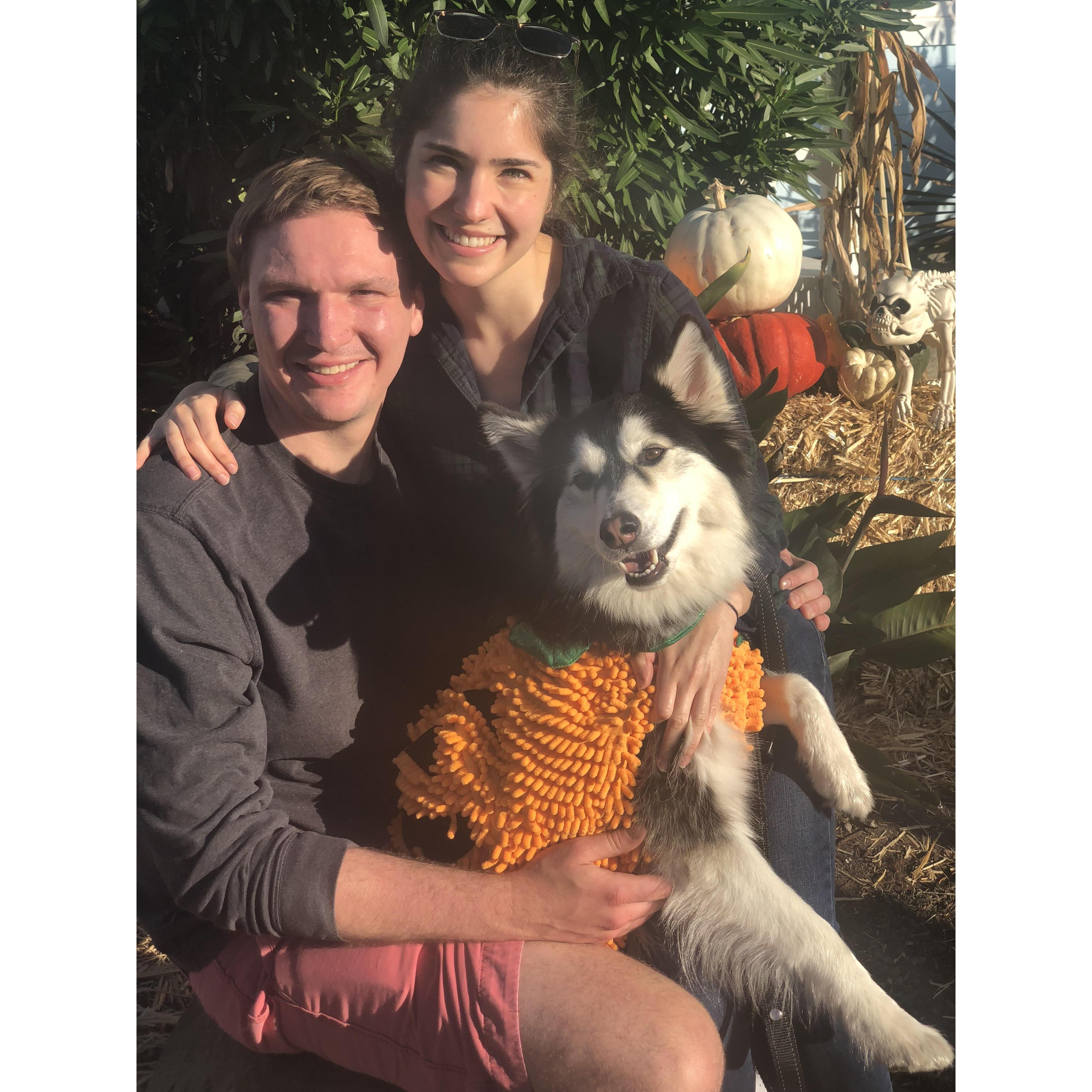 Pumpkin Festival Michigan 2016
