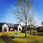 Piggly Wiggly Country Village