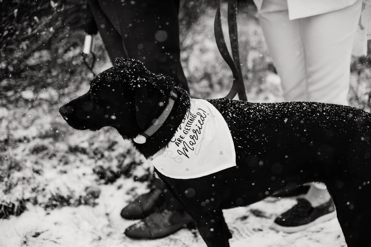 The Wedding Website of Jessica Smith and Elliot Rutter
