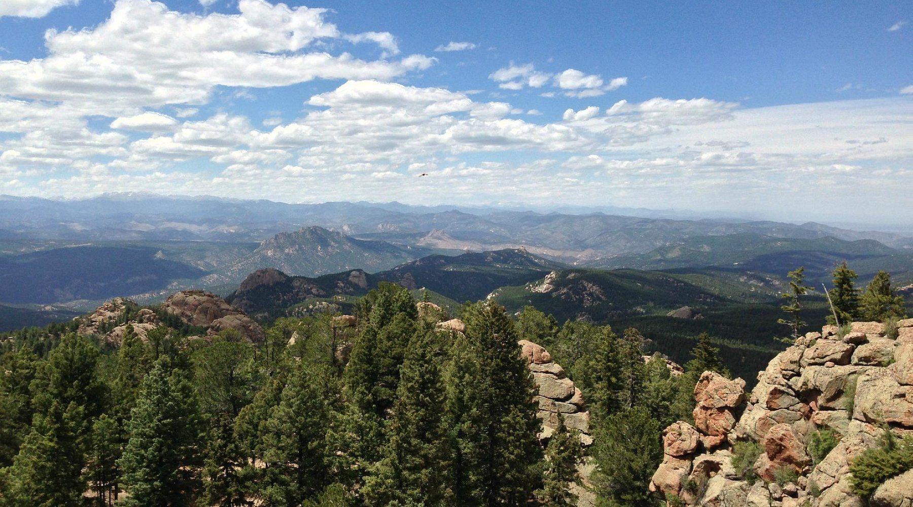 The Wedding Website of Jenn Hardey and Steve McKitterick