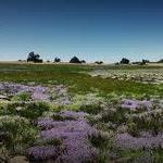 Santa Rosa Plateau