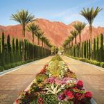 La Quinta Resort & Club Actvities