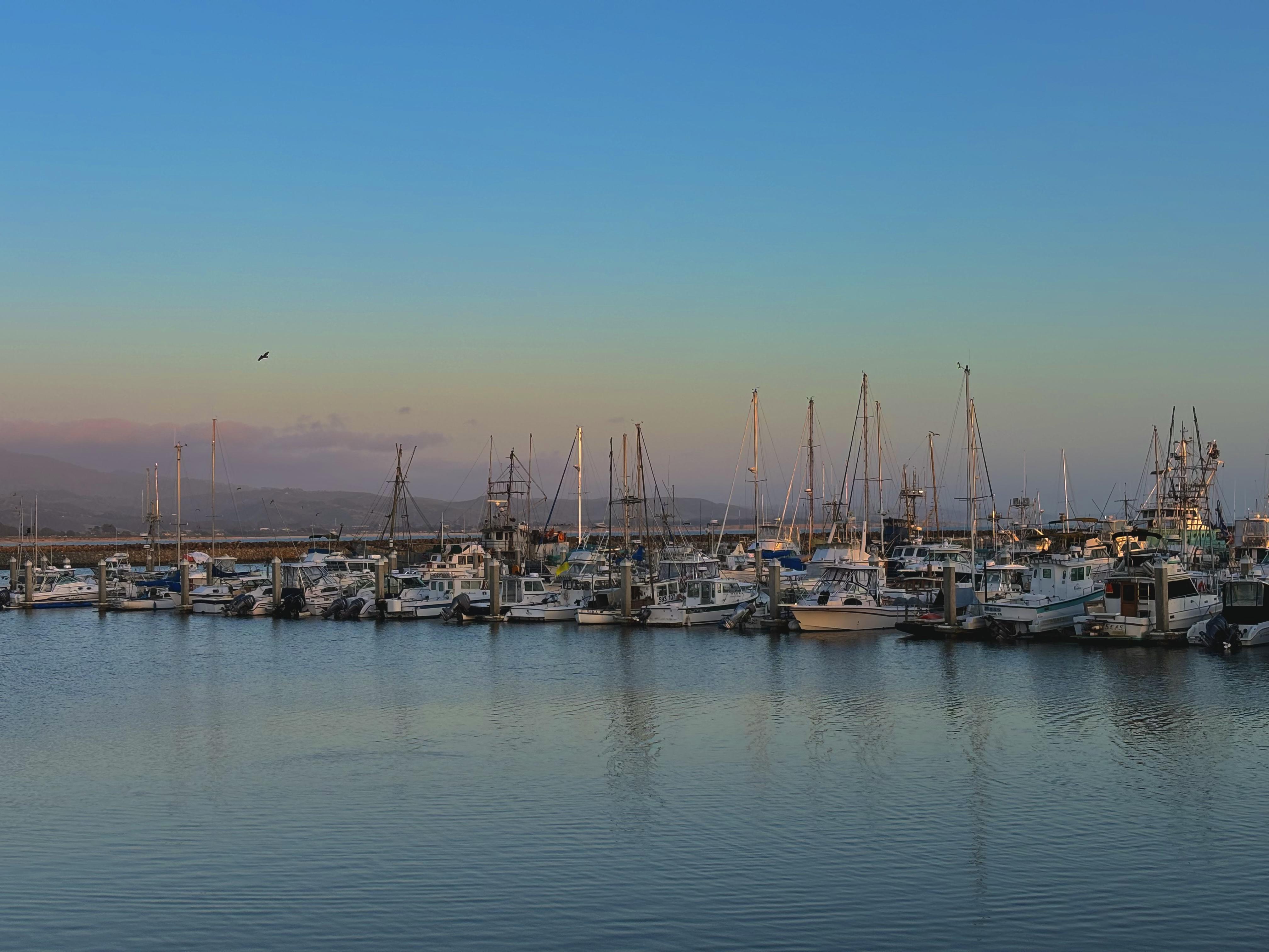 The Wedding Website of Sarah Frayne and Gary Zsigo