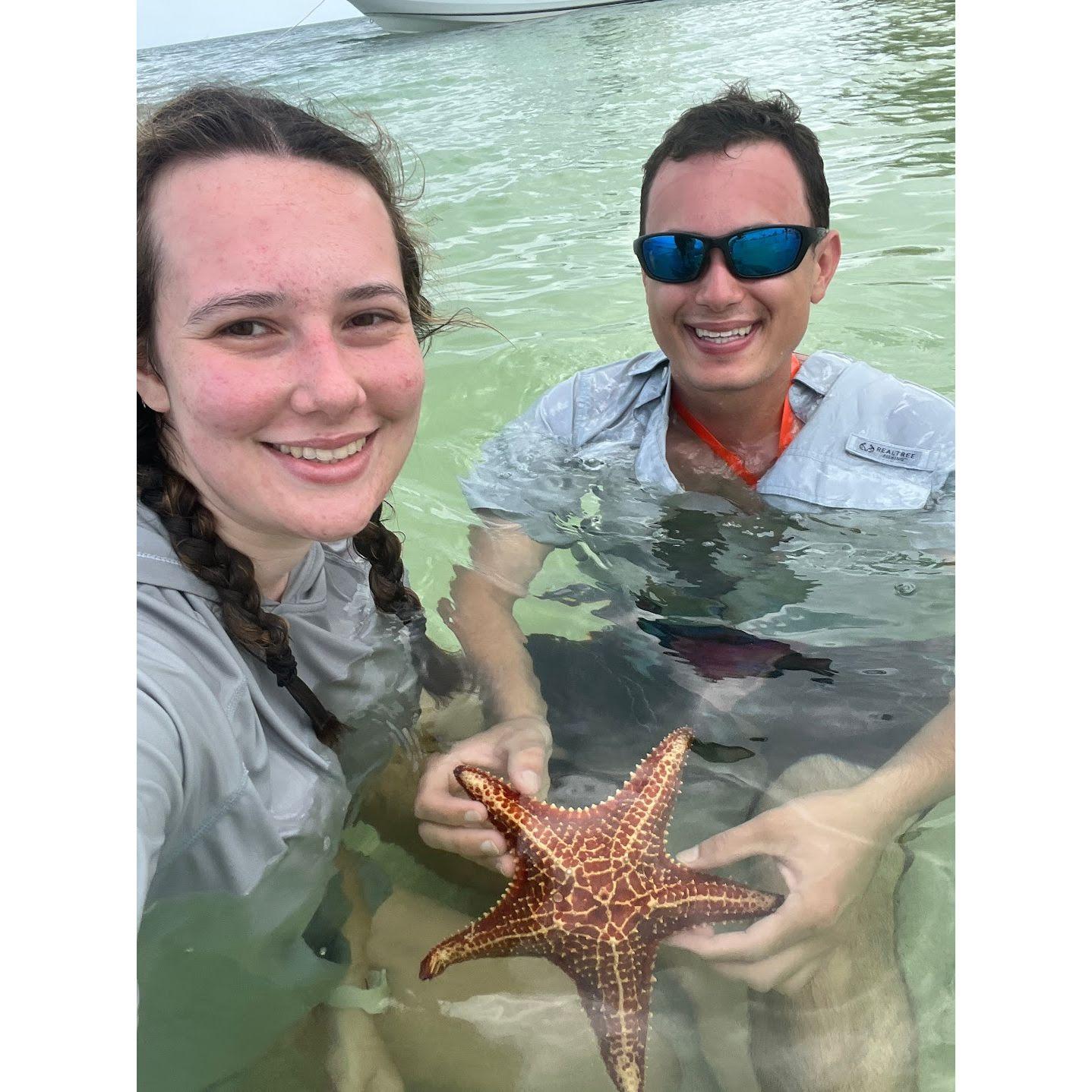 Swimming with star fish