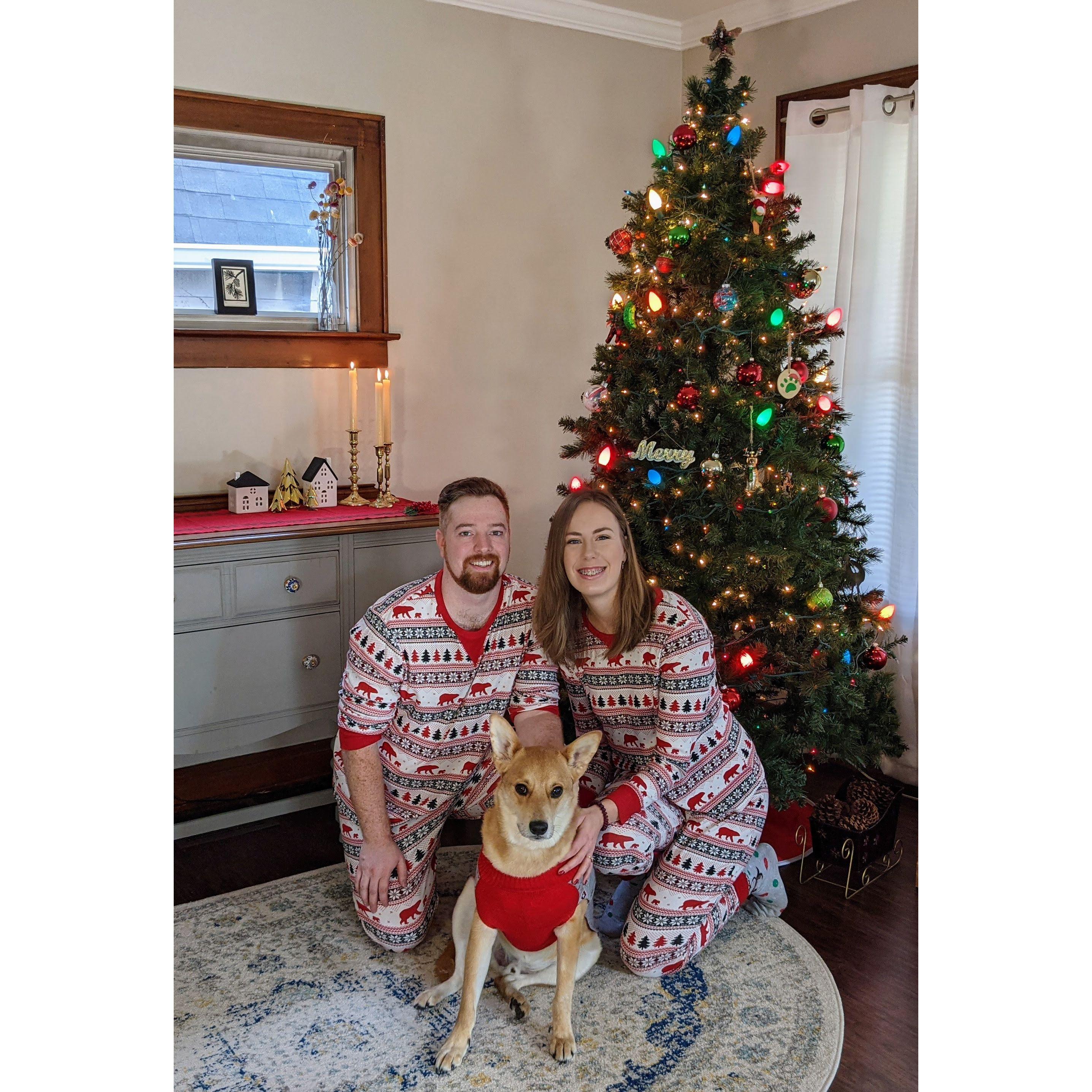 First Christmas in the new house, December 2021